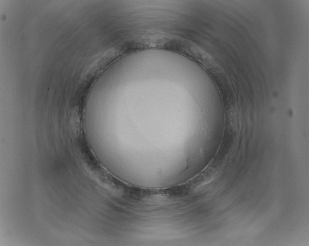 X0000076240594200610122142