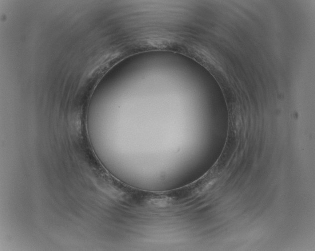 X0000076240595200610122142