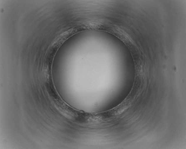 X0000076240599200610122142
