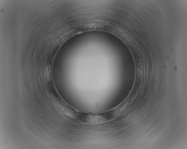 X0000076240605200610122142