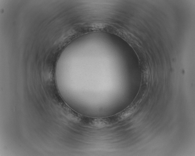 X0000076240608200610122142