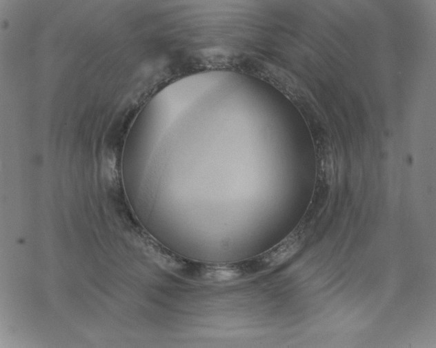 X0000076240610200610122142