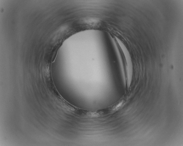 X0000076240613200610122142