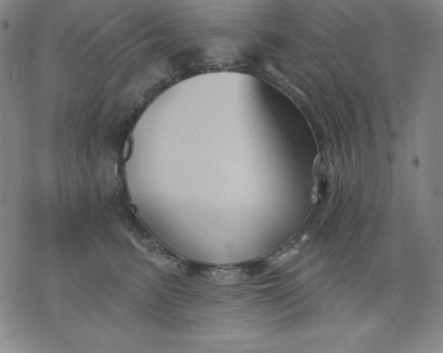 X0000076240615200610122142