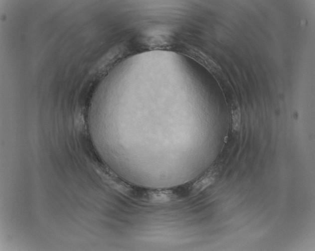 X0000076240618200610122142