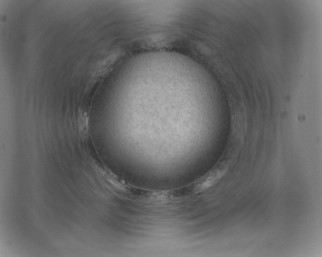 X0000076240624200610122142