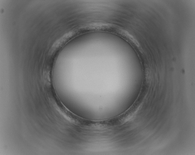 X0000076240633200610122141