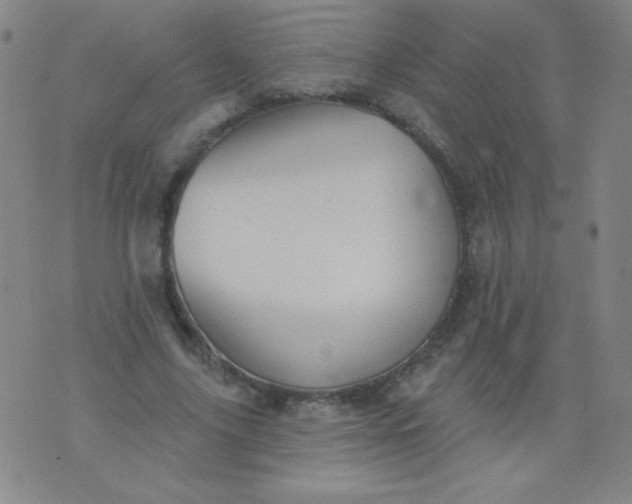 X0000076240635200610122141