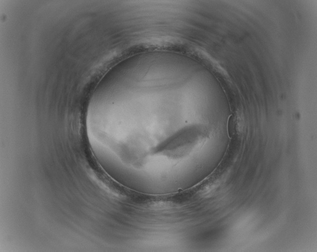 X0000076240637200610122141