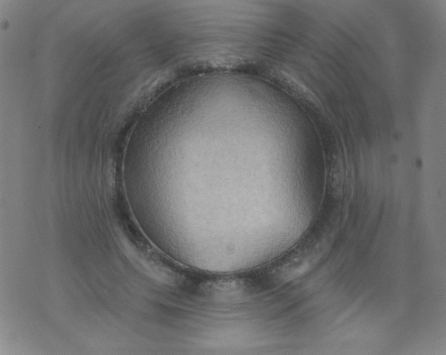 X0000076240639200610122141
