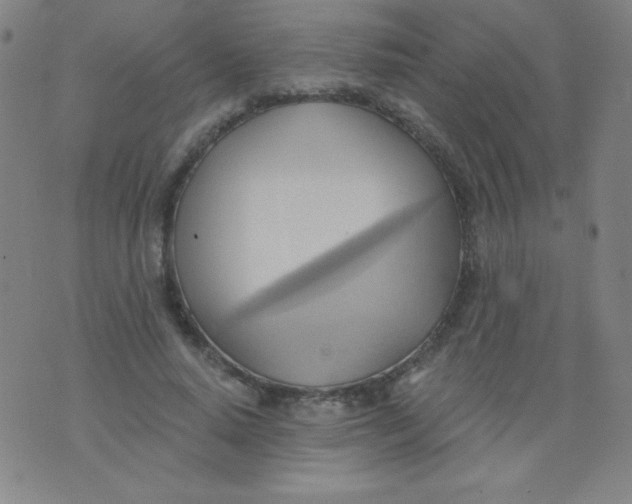 X0000076240640200610122141
