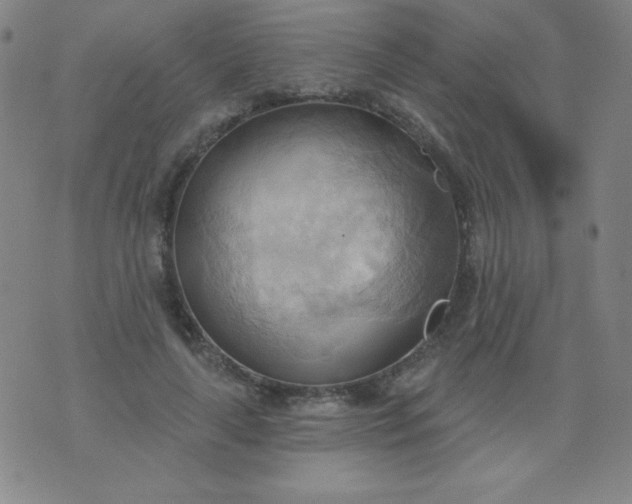 X0000076240643200610122141