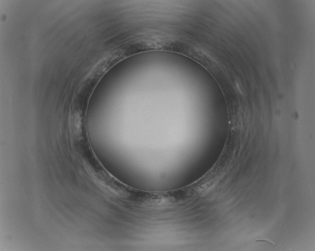 X0000076240646200610122141