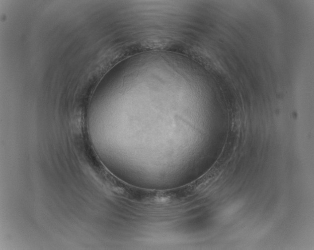 X0000076240647200610122141