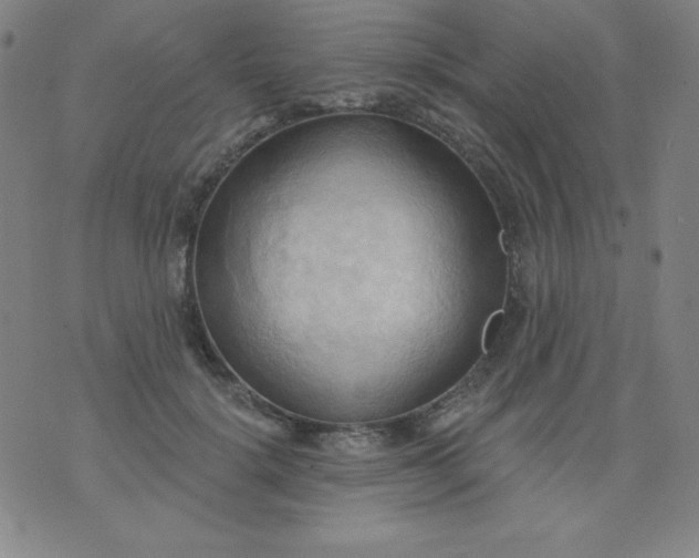 X0000076240652200610122141
