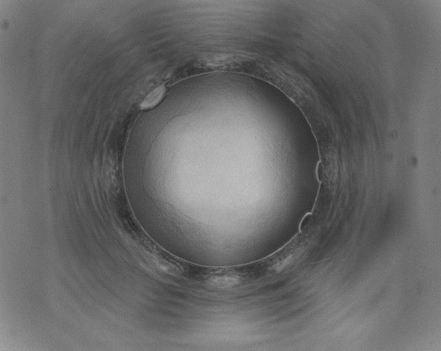 X0000076240653200610122141