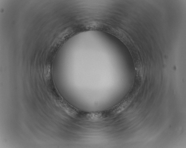 X0000076240660200610122141