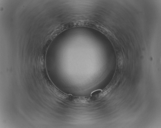 X0000076240661200610122141