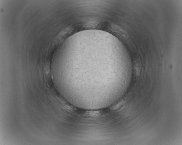 X0000076240665200610122142