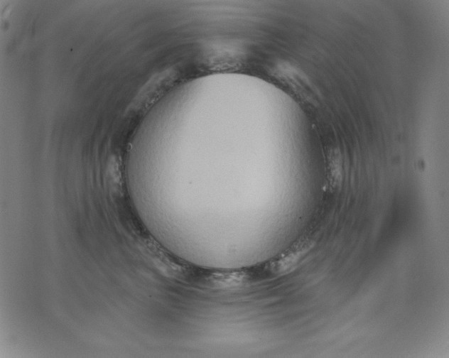 X0000076240667200610122142