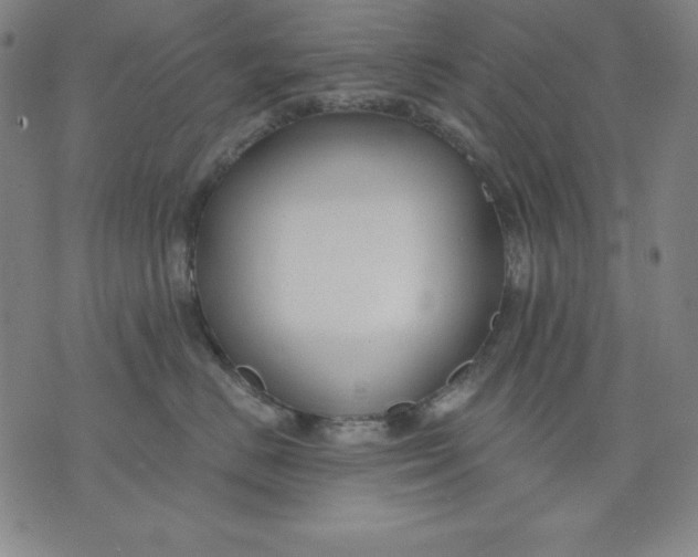 X0000076240670200610122142