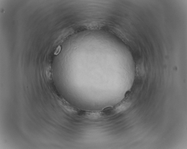 X0000076240671200610122142