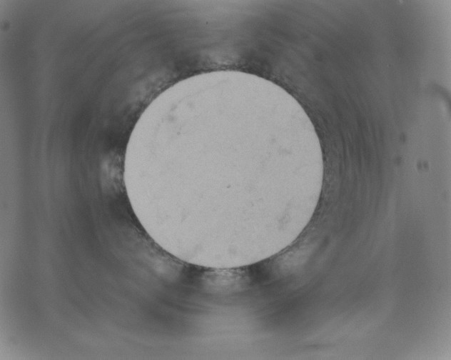 X0000076240672200610122142