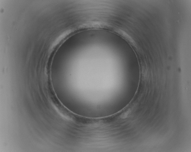 X0000076240674200610122141