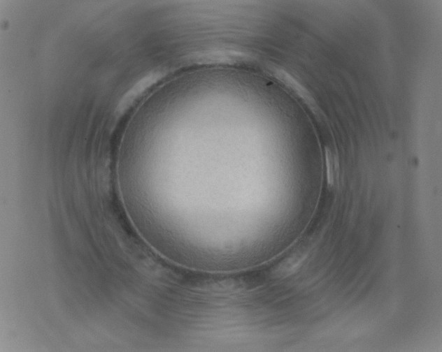 X0000076240675200610122141
