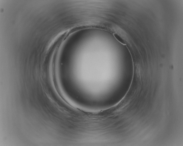X0000076240676200610122141