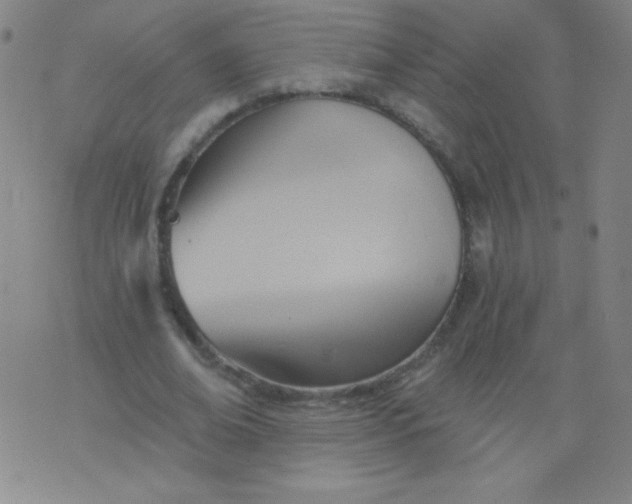 X0000076240678200610122141