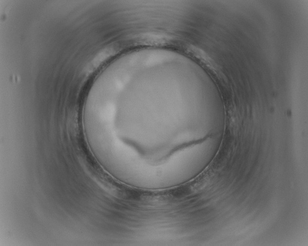 X0000076240679200610122141