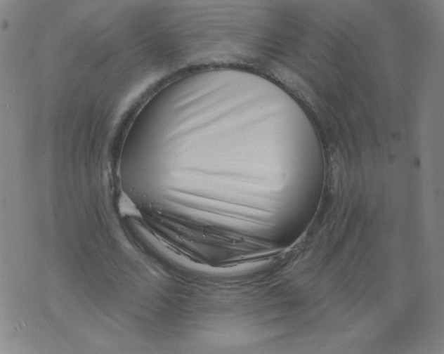X0000076240680200610122141