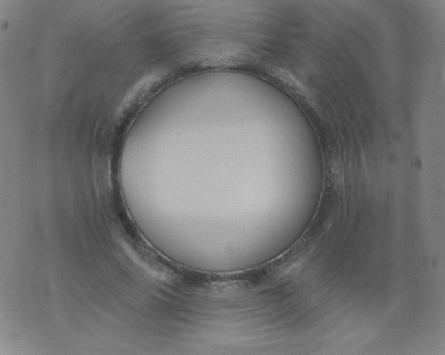 X0000076240686200610122141
