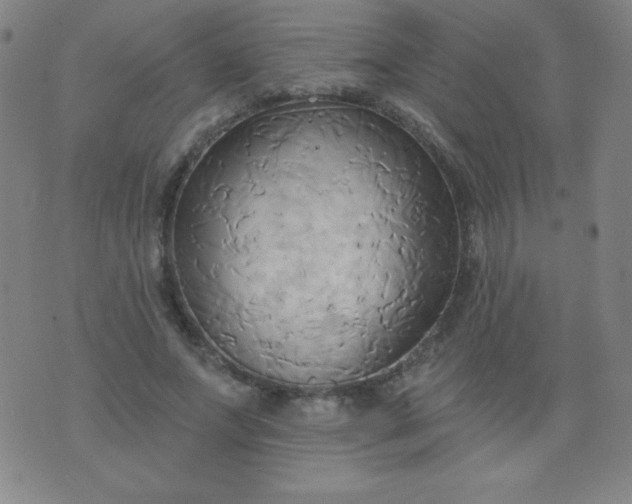 X0000076240687200610122141