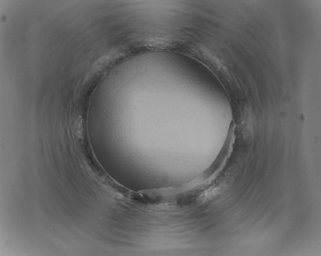 X0000076240689200610122141