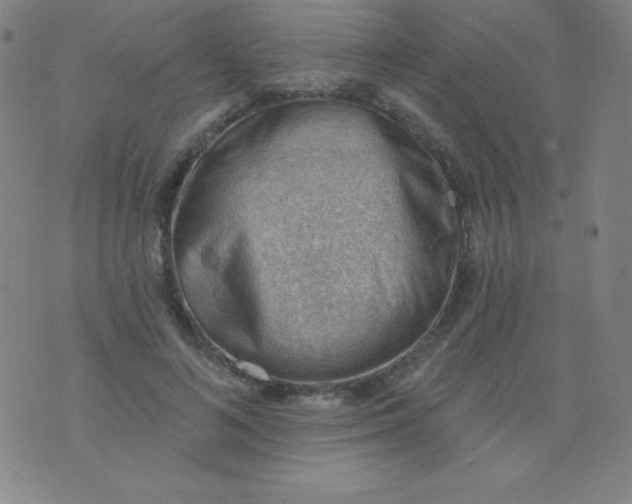 X0000076240692200610122141