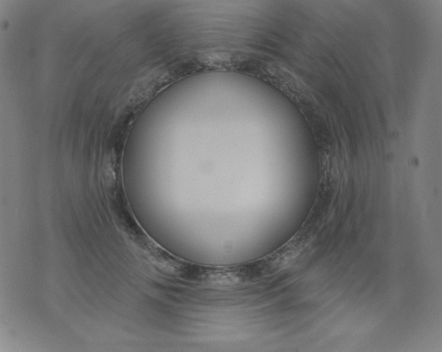 X0000076240702200610122140