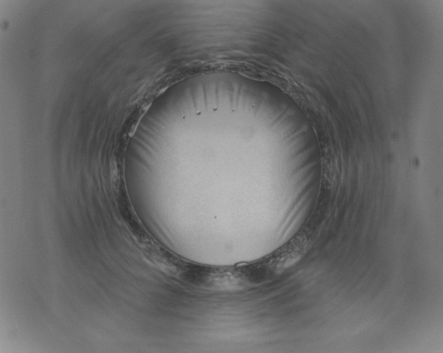 X0000076240704200610122140