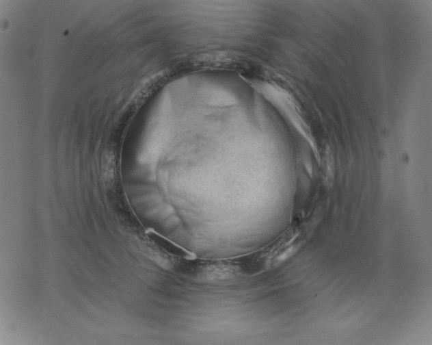 X0000076240708200610122140