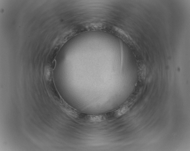 X0000076240709200610122140