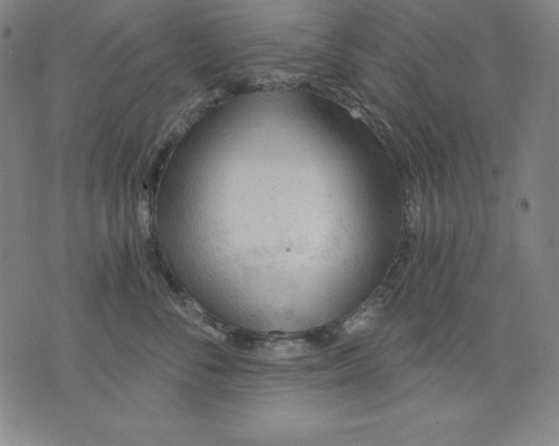 X0000076240716200610122140