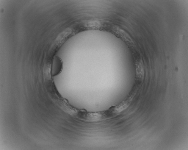 X0000076240717200610122140