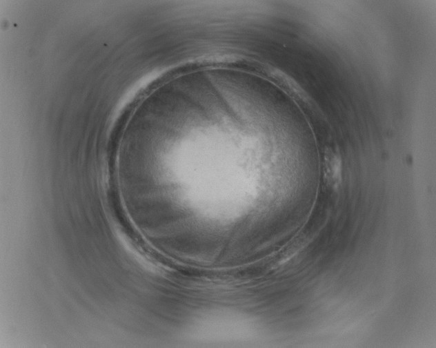 X0000076240726200610122139
