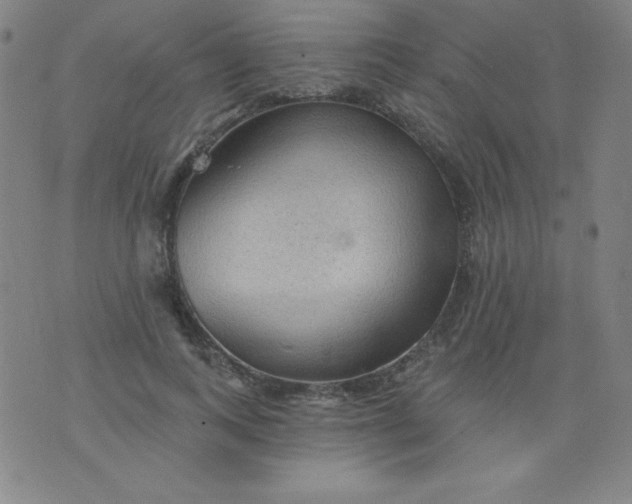 X0000076240743200610122140