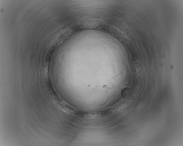 X0000076240745200610122140