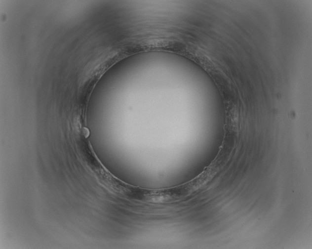X0000076240746200610122140