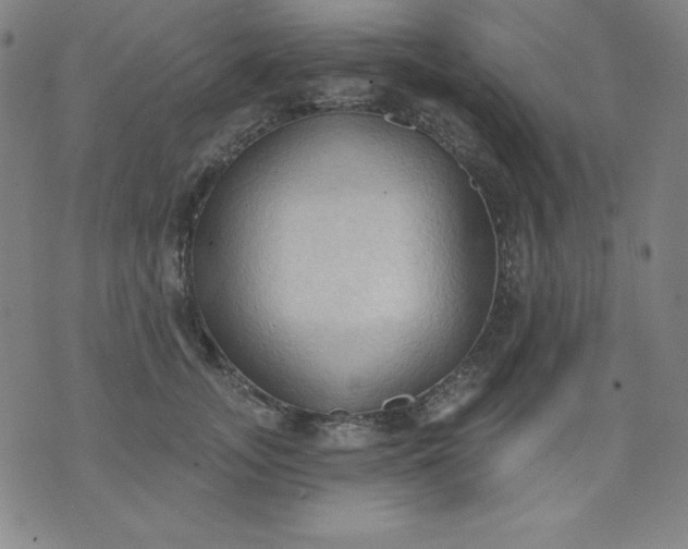 X0000076240755200610122140