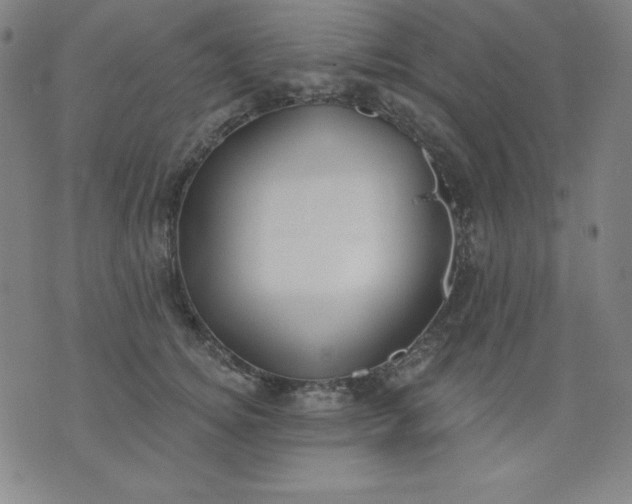 X0000076240756200610122140