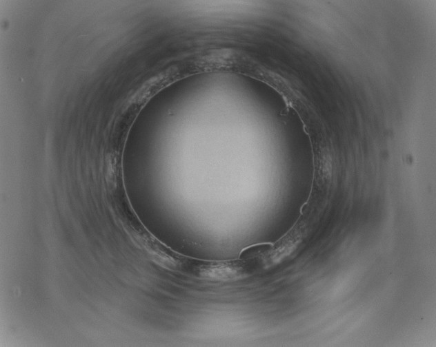 X0000076240759200610122140